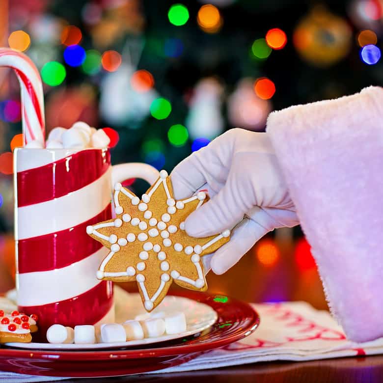 Santa Claus & Cookies